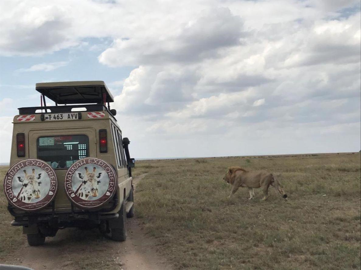 Serengeti Kifaru Tented Lodge Mugumu Exterior foto
